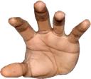 lefthand lefthand