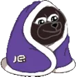 jerCozy