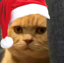 :andioopfestive: Discord Emote
