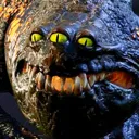 oggdobogdo oggdobogdo