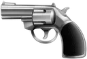 GUN