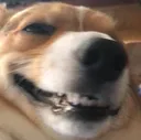 Kimochi