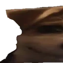 widedog1