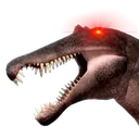 spinoWoke spinoWoke