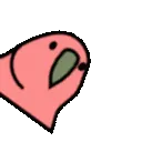 SpinningParrot