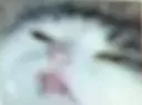 ew