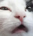 what