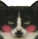flushedgb flushedgb