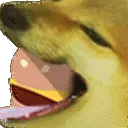 burgerdoge3