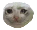 sadcat