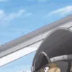 AskeChop