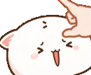 q_kittyflick q_kittyflick