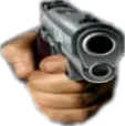 gun