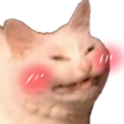 CattoBlush