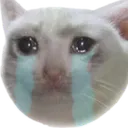 sadcat