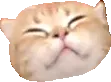 mommaorange