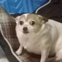 RpMdoudi