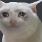 SadBoi