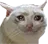 sad Discord Emoji