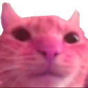 john