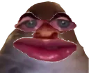 bruhface