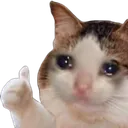 catup