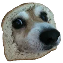 inbreadDog