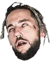 sloth