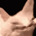 echmelt