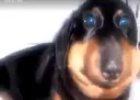 quemundoeesse