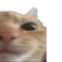 ag