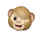 monkeywink
