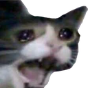 sadcat Discord emoji