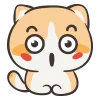 C_Shocked C_Shocked