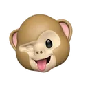 monkeywink2