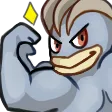 machampflex machampflex