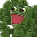 woggeroraora