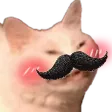 lewdShyStache lewdShyStache