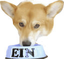 EinNetflix Discord emoji