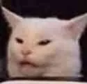 cat_and_vegetables