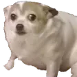 smolconcern
