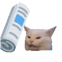 :bonkcat: Discord Emote