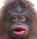 monke
