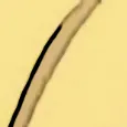 hk010