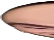 brainhead
