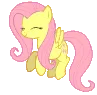 FSFlutterHappy FSFlutterHappy