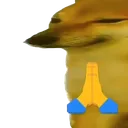 dogepray dogepray