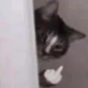 CatRude