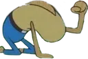 WHY