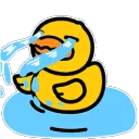 ducktears